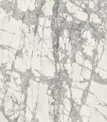 1229 Stone Look Porcelain Slab Ruben Sorhegui Tile Distributors Southwest Florida's largest tile, stone and mosaics distributor