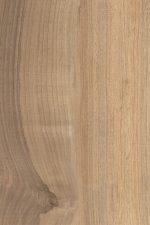 586 Wood Look Porcelain Tile