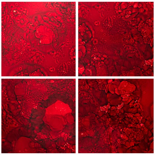 Devotion Ruby Glass Tile