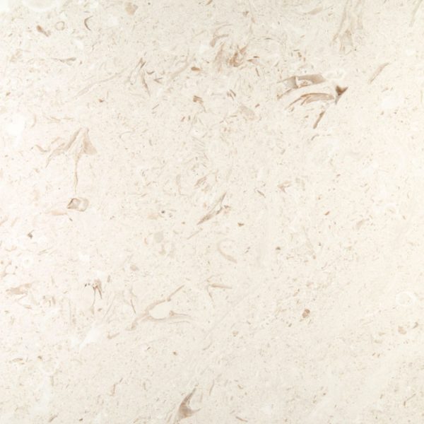Fossil Shell Stone Paver | Natural Stone Pavers Products from Ruben Sorhegui Tile Distributors Southwest Florida's largest tile, stone and mosaics distributor